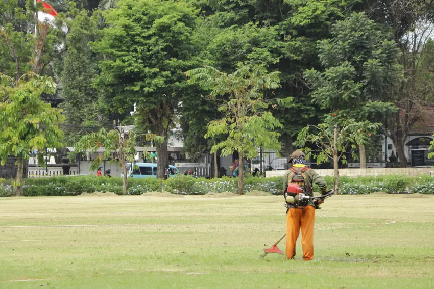 Lawn mowing and lawn maintenance