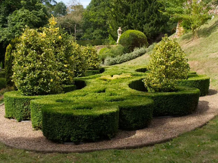 Trimming and edging a lawn edge