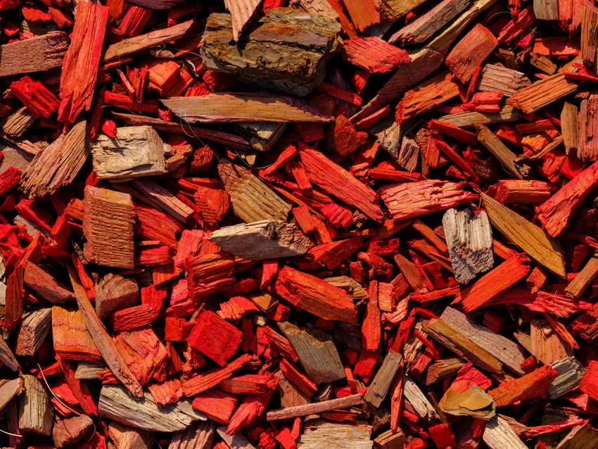 Fresh mulch bed in a landscaped garden